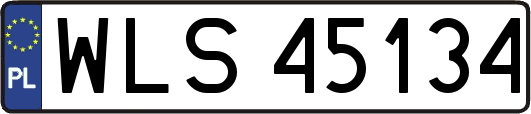 WLS45134
