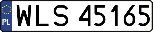 WLS45165