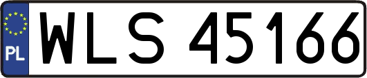 WLS45166