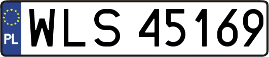 WLS45169