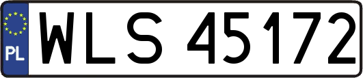 WLS45172