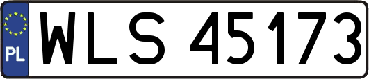 WLS45173