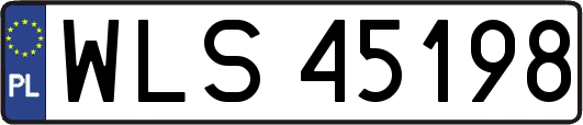 WLS45198