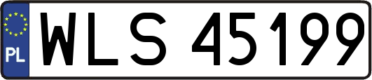 WLS45199