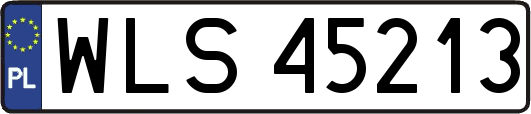 WLS45213