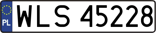 WLS45228