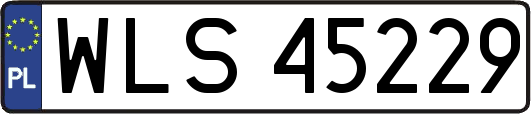 WLS45229