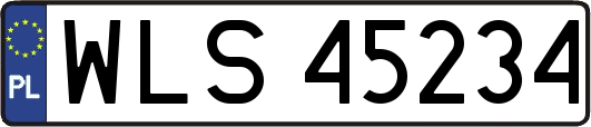 WLS45234