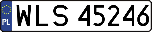 WLS45246