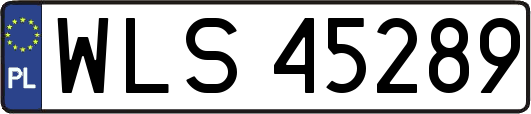 WLS45289