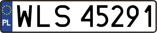 WLS45291