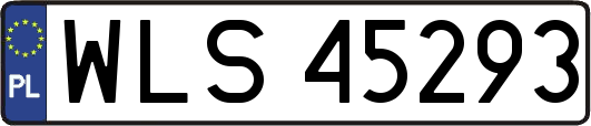 WLS45293
