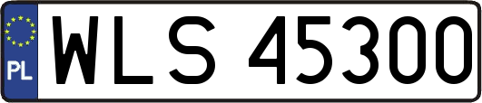 WLS45300