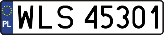 WLS45301
