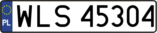 WLS45304