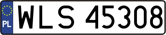 WLS45308