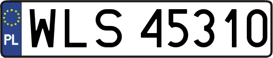 WLS45310