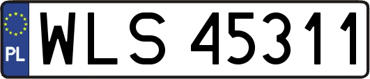 WLS45311