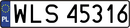 WLS45316