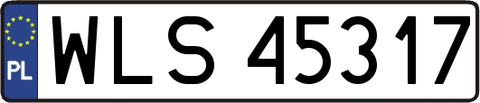 WLS45317
