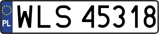 WLS45318