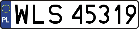 WLS45319