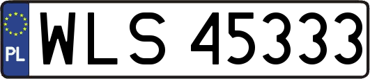 WLS45333