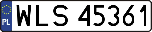 WLS45361