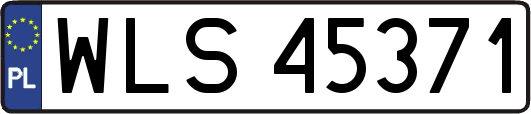 WLS45371