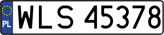 WLS45378