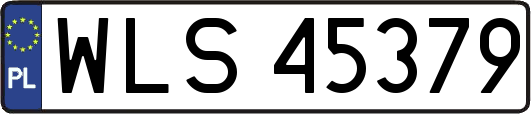 WLS45379