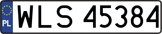 WLS45384