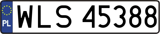 WLS45388