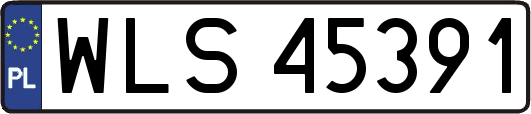 WLS45391