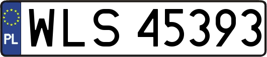 WLS45393