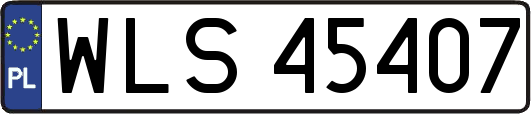 WLS45407