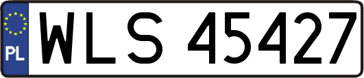 WLS45427