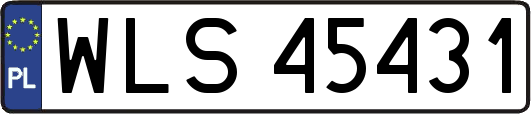 WLS45431
