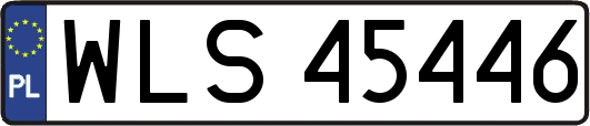 WLS45446