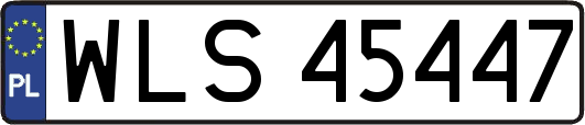 WLS45447