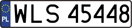 WLS45448