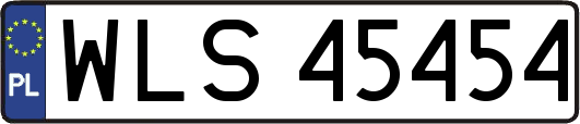 WLS45454