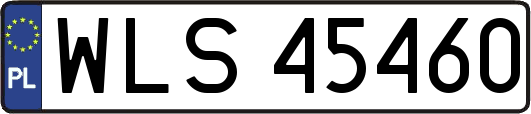 WLS45460