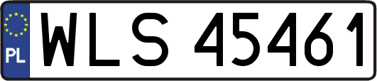 WLS45461