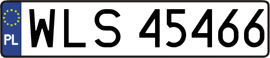 WLS45466