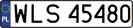 WLS45480