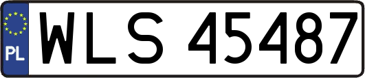 WLS45487