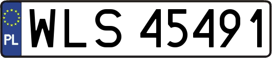 WLS45491