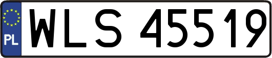 WLS45519