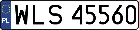 WLS45560